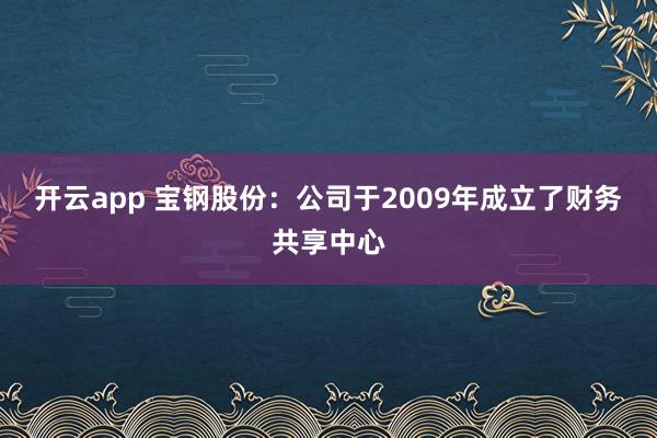 开云app 宝钢股份：公司于2009年成立了财务共享中心