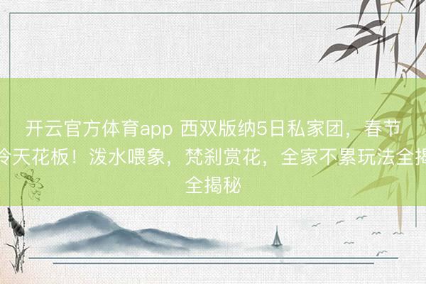 开云官方体育app 西双版纳5日私家团，春节避冷天花板！泼水喂象，梵刹赏花，全家不累玩法全揭秘