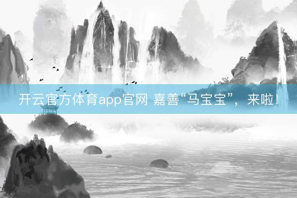 开云官方体育app官网 嘉善“马宝宝”，来啦！
