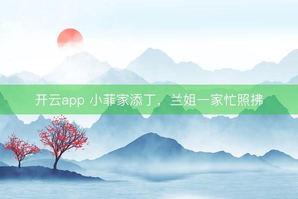 开云app 小菲家添丁,兰姐一家忙照拂